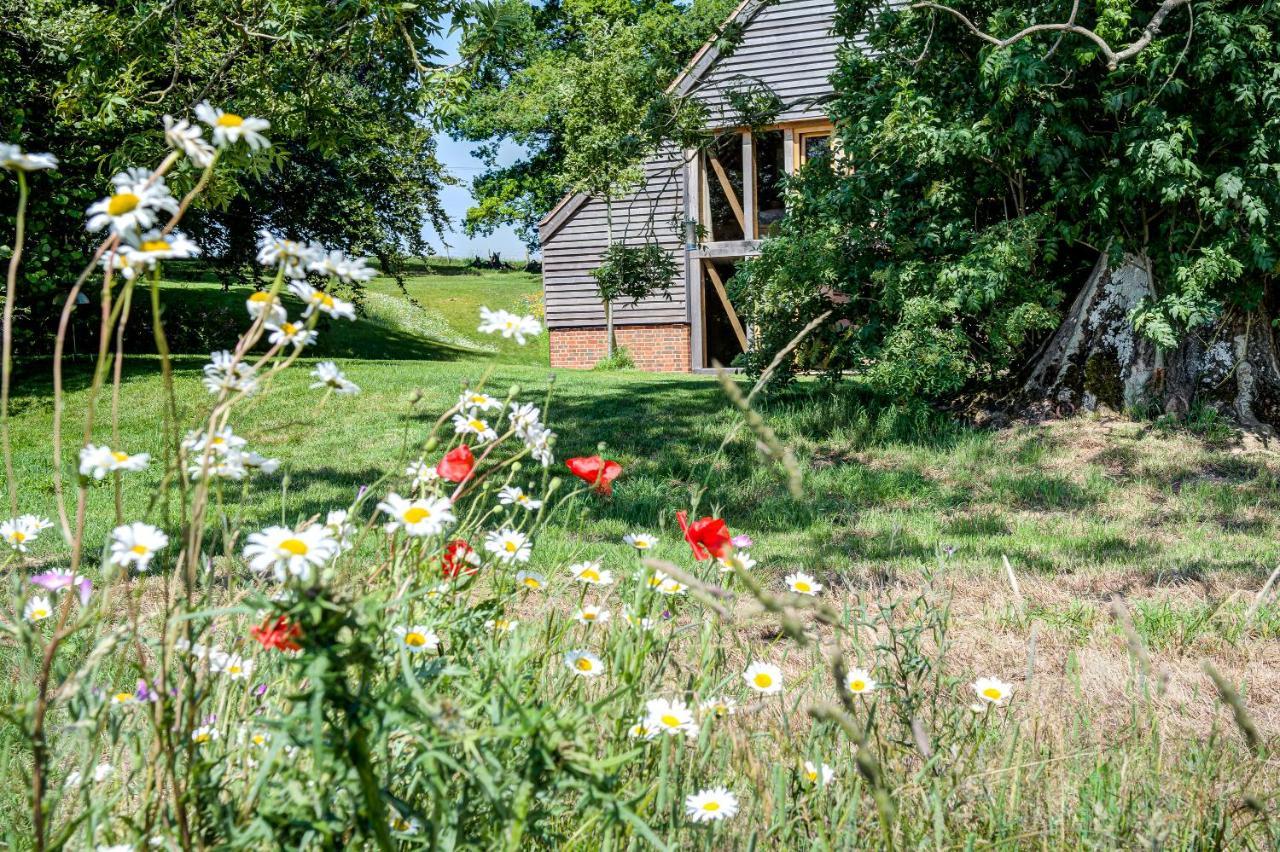 Bed and Breakfast South Park Farm Barn Андовер Экстерьер фото